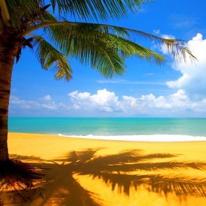 Meet your Posher, Zakayla